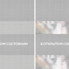 Basic темно-серый